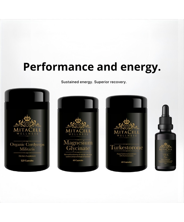 PERFORMANCE & ENERGY STACK